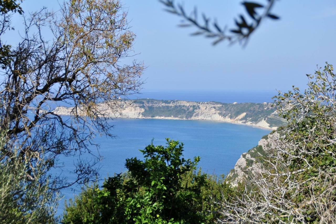 Villa Meli Afionas Corfu Extérieur photo